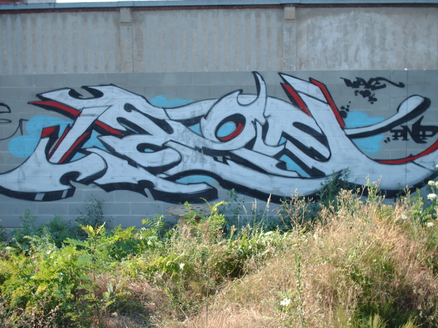 LEONE: SANCRA2006